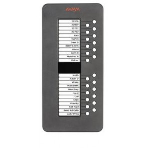 Module d'expansion Avaya 9600 SBM24